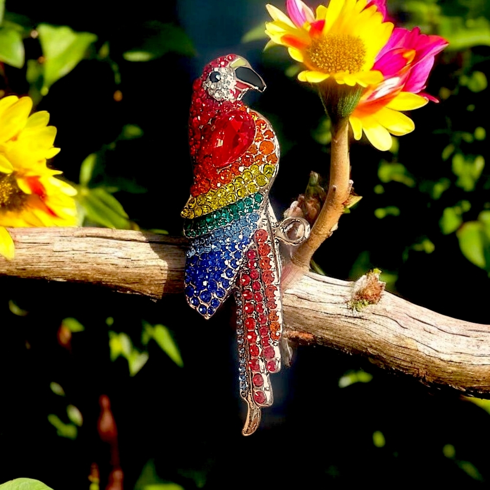 Colorful Rhinestone Parrot Brooch